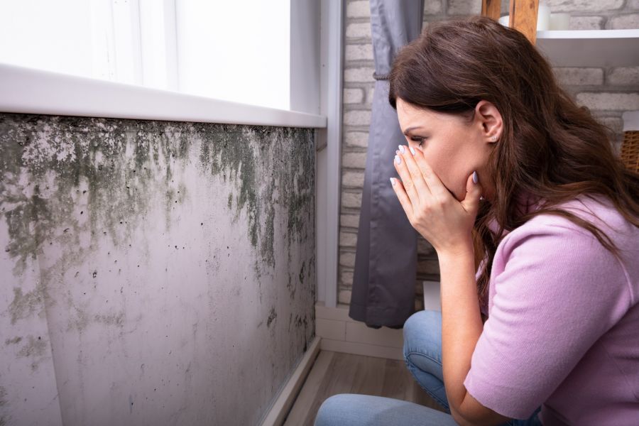 Mold Removal by Palafox Prestige Construction, Inc.
